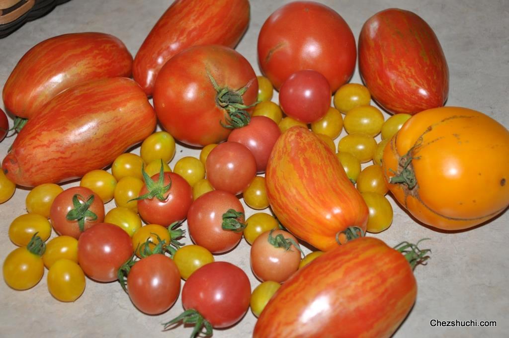 home grown  tomatoes